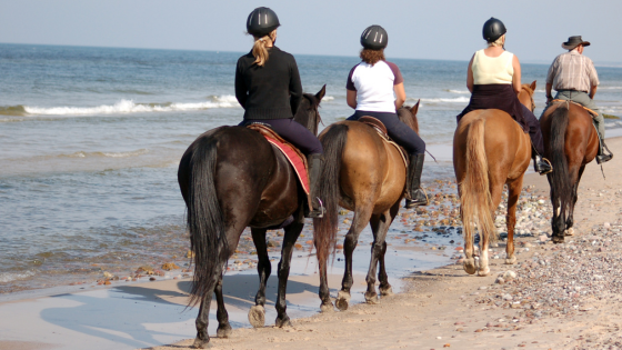 group of people horseback riding on beach