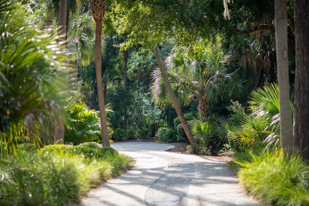 Seabrook Island Spring Trail